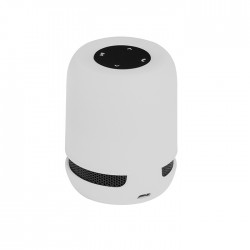 PF278 - PLUG