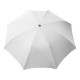 PL131 - DAMP