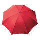 PL131 - DAMP