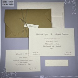 Partecipazione 96088