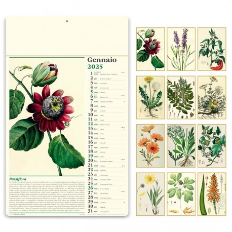 CALENDARIO 2025 - PA011 - ERBORISTERIA