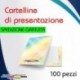 100 cartelline